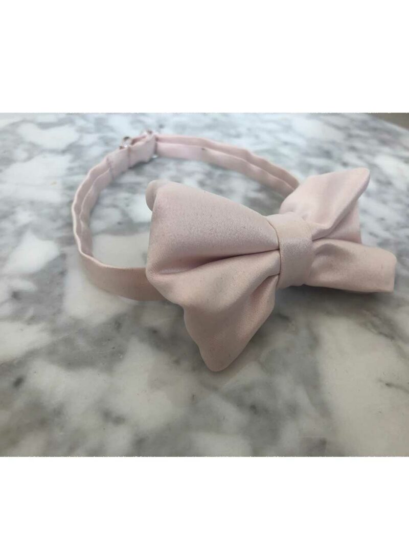 Vlinderstrik jongens